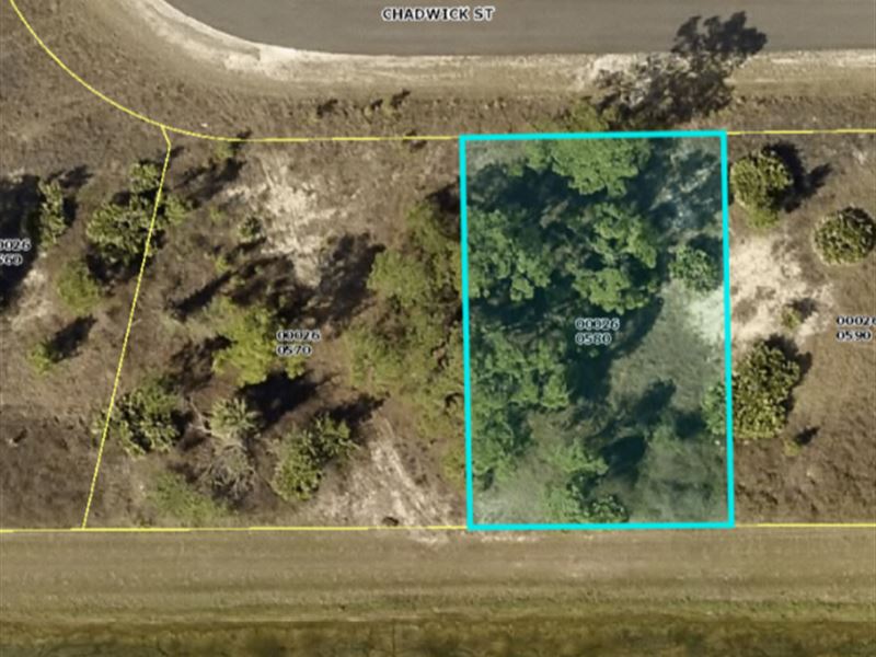 Lehigh Acres Lot for Sale : Lehigh Acres : Lee County : Florida