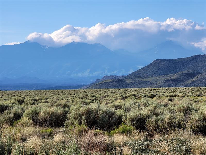 Perfect Spot for Your Dream Cabin : Fort Garland : Costilla County : Colorado