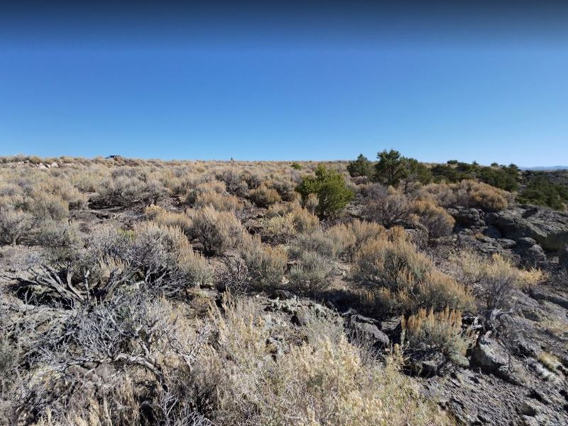 Nature Beckons To You On 6.64 Acres : San Luis : Costilla County : Colorado