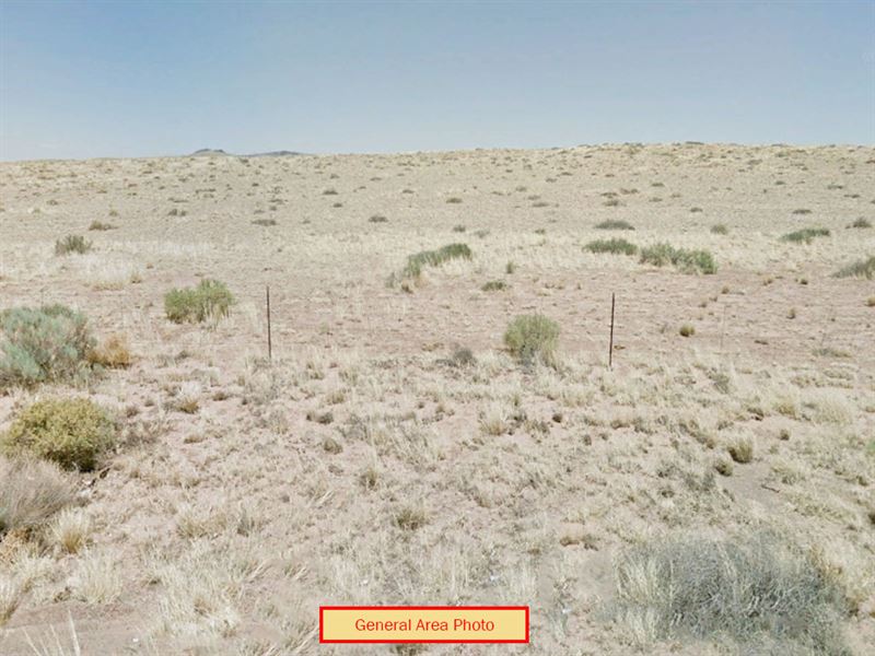 1.26 Acres in Navajo County, AZ : Holbrook : Navajo County : Arizona