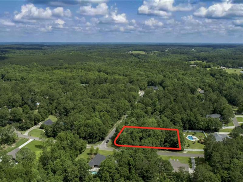 1 Ac, Upscale Alabama Neighborhood : Andalusia : Covington County : Alabama