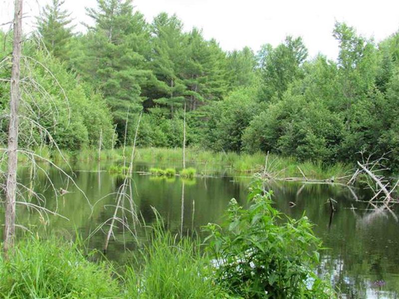 97 Acre Recreation Bliss : Baraga : Baraga County : Michigan
