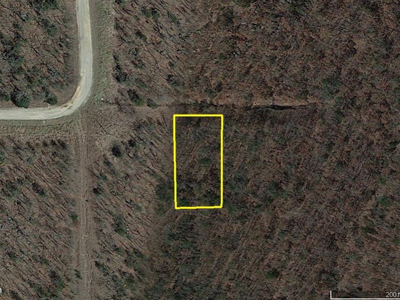 Near Lake with Trees : Osage : Osage County : Oklahoma