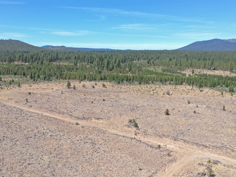 Natural Wonders Await in Wildpine : Chiloquin : Klamath County : Oregon