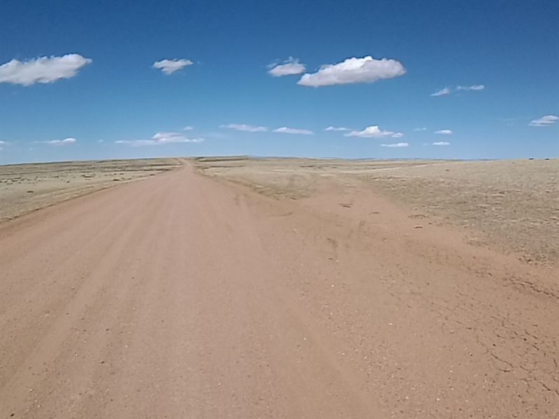 Picture Perfect Blue Sky Views : Medicine Bow : Albany County : Wyoming