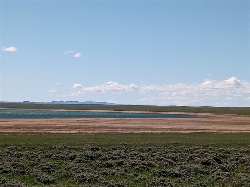 A Laramie Project of Your Own : Laramie : Albany County : Wyoming