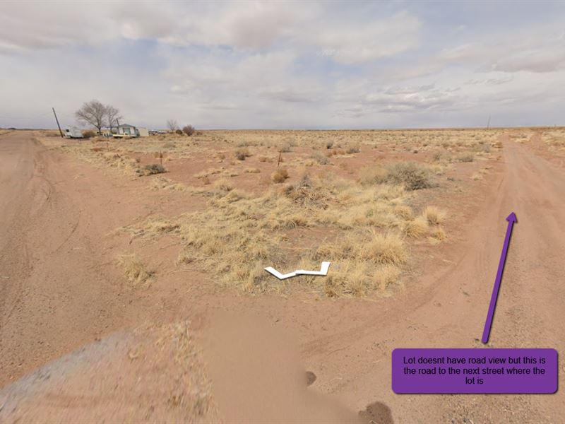 Holbrook, Az, Near Route 66, $50/Mo : Holbrook : Navajo County : Arizona