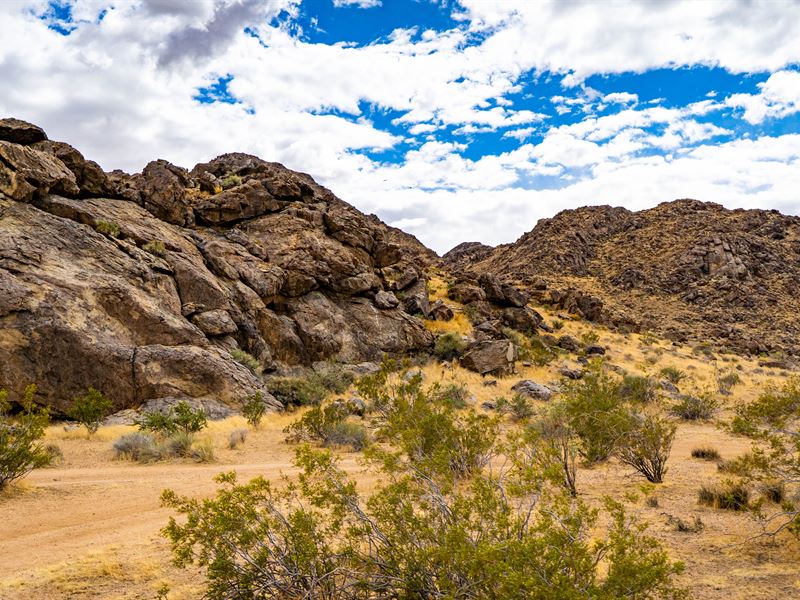 Exceptional 20 Acre Retreat : Lucerne Valley : San Bernardino County : California