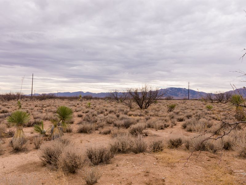 Arizona Sun Sites is Calling You : Cochise : Cochise County : Arizona