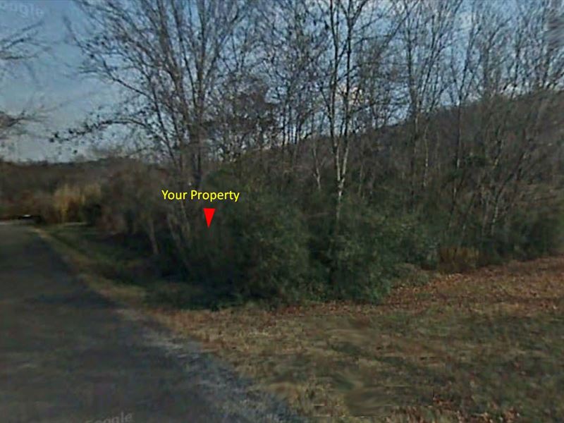 .38 Acre, Boating on Watts Bar Lake : Kingston : Roane County : Tennessee