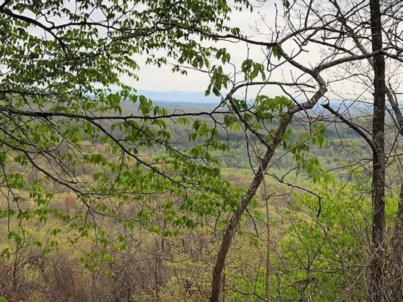 .44 Acre, Mountain Views : Crab Orchard : Cumberland County : Tennessee