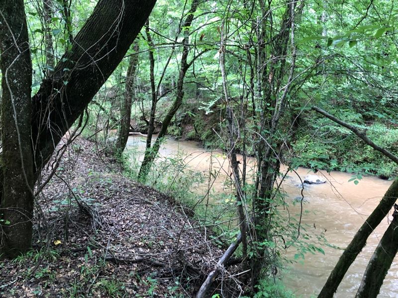 Minor Rd Tract 41.6 Ac : Thomaston : Upson County : Georgia