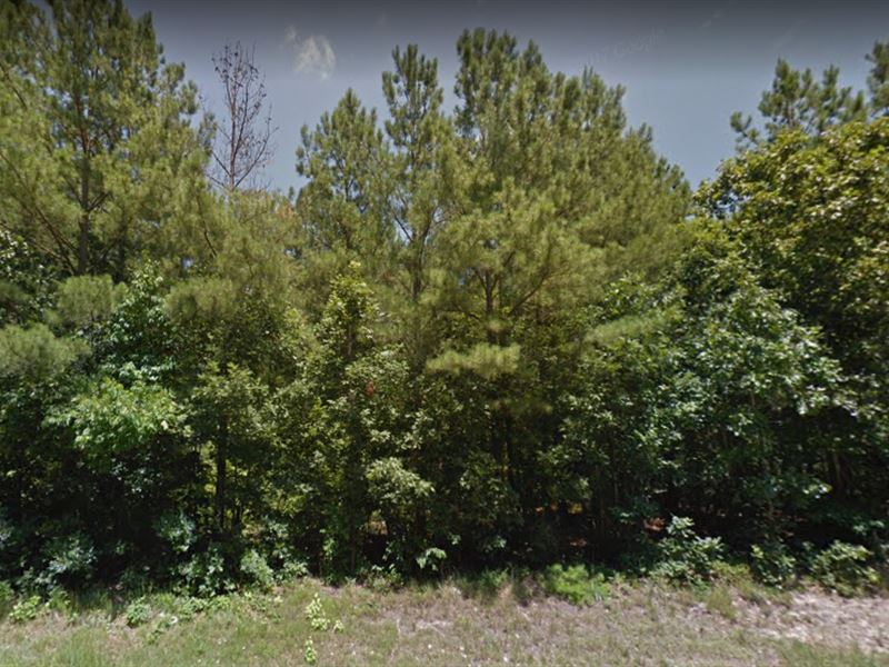 Scenic 3.13 Level Lot, Fsbo : Warrenton : Warren County : North Carolina