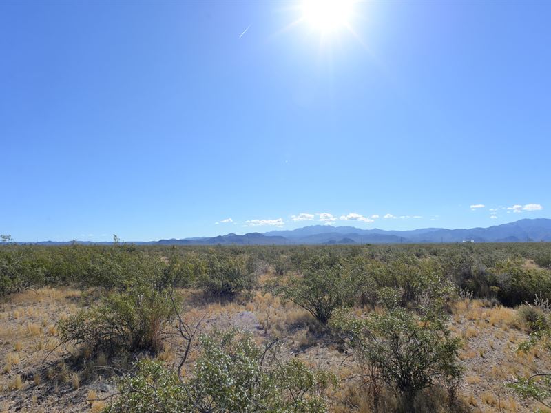 Beautiful Views of Golden Valley : Golden Valley : Mohave County : Arizona