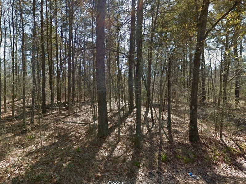 .22 Acre for Sale in Pine Bluff : Pine Bluff : Jefferson County : Arkansas