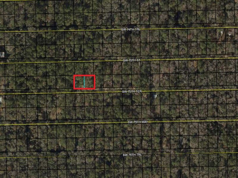 Double Campsite Lots Near Suwannee : Jasper : Hamilton County : Florida