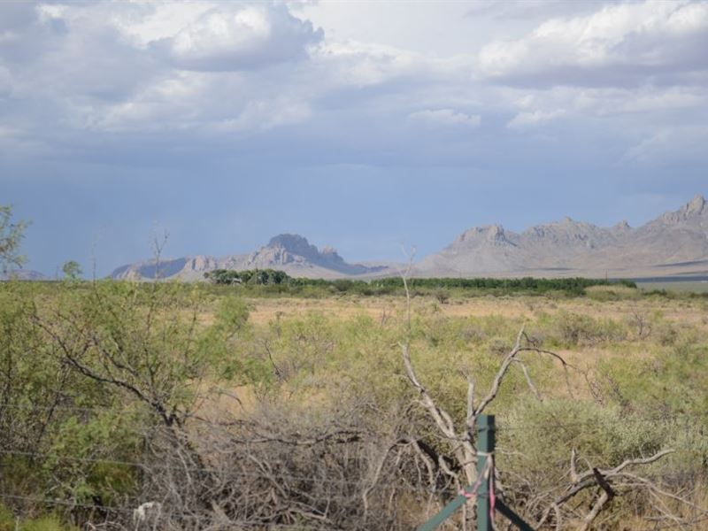 .5 Acre for Sale in Deming, NM : Deming : Luna County : New Mexico