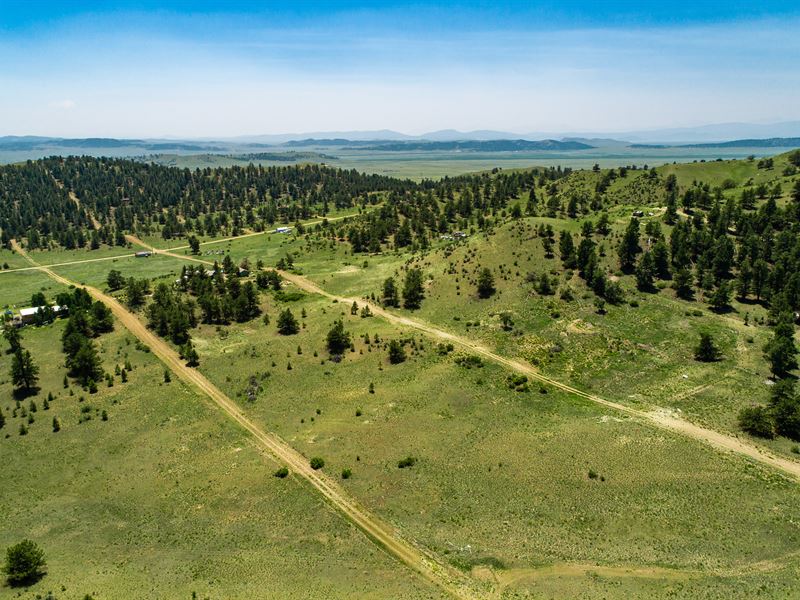 Amazing 10.09 Acre in Hartsel, CO, Land for Sale by Owner in Colorado