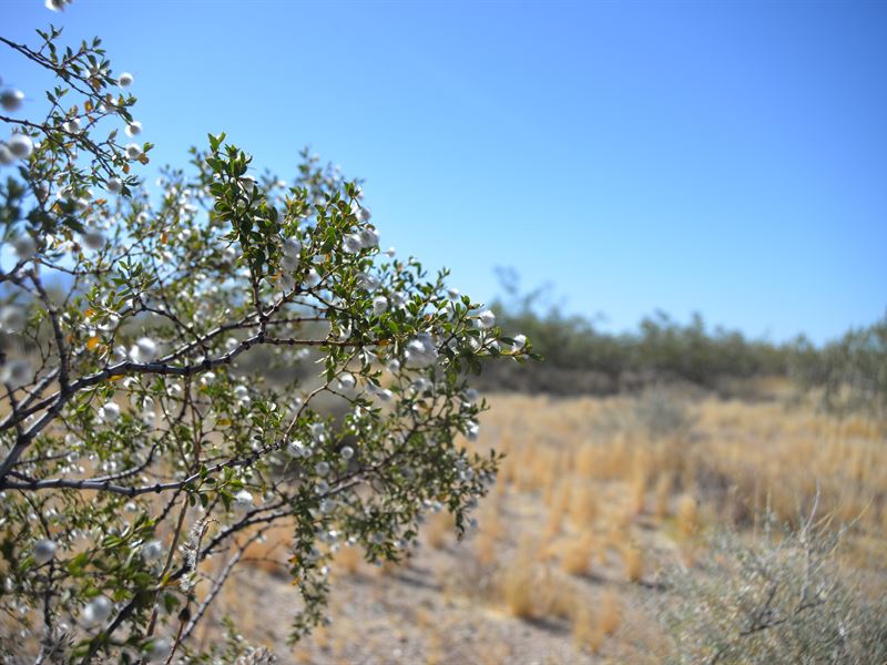 Lake Mohave Heights Estates : Golden Valley : Mohave County : Arizona