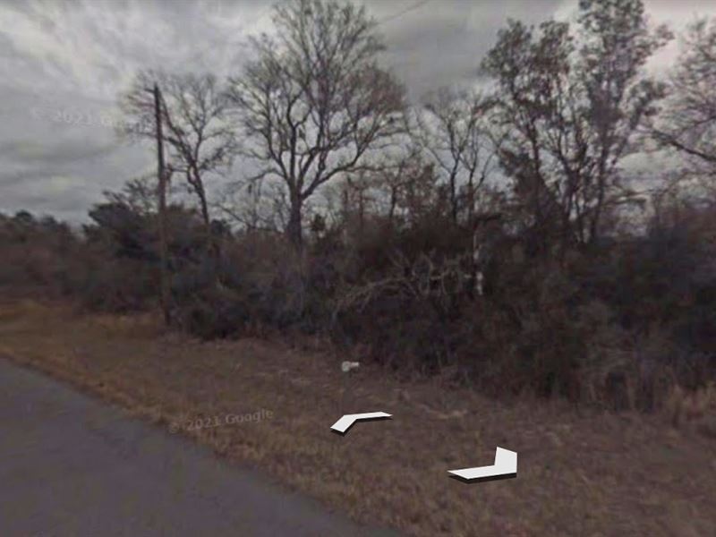 Corner FL Lot in Citrus Springs : Citrus Springs : Citrus County : Florida