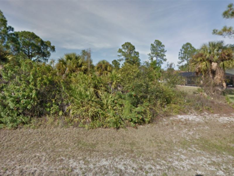 Lehigh Acres Lot for Sale in FL : Lehigh Acres : Lee County : Florida