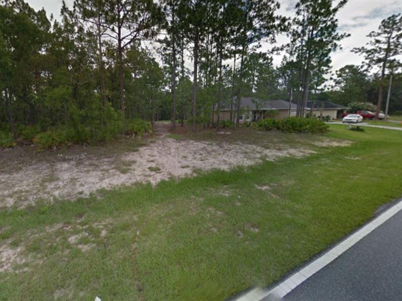 Florida Lot for Sale in Dunnellon : Dunnellon : Citrus County : Florida