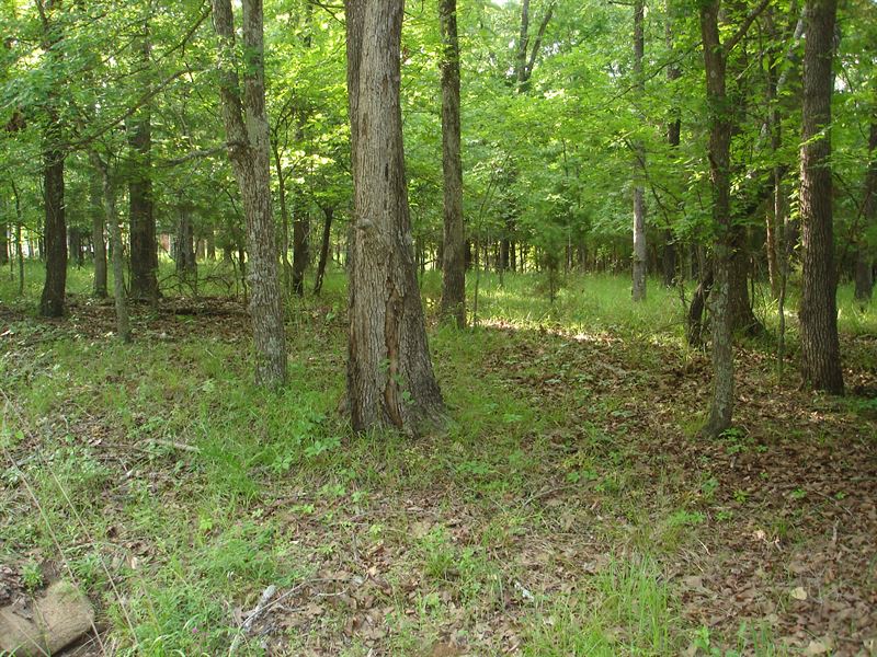 Home Build Site for Sale : Paris : Lamar County : Texas