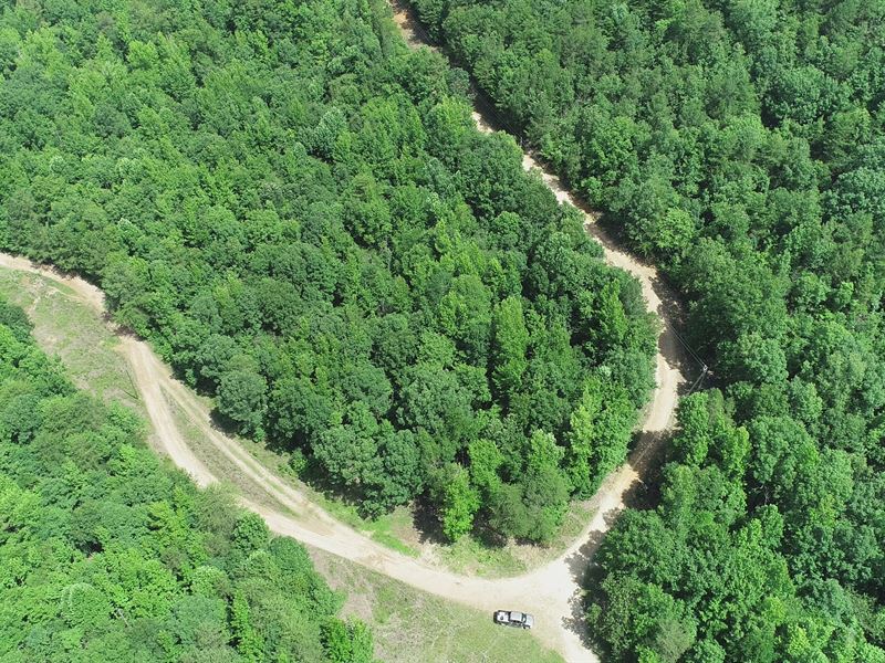 Near Atv Park & Hunting Preserve : Centre : Cherokee County : Alabama