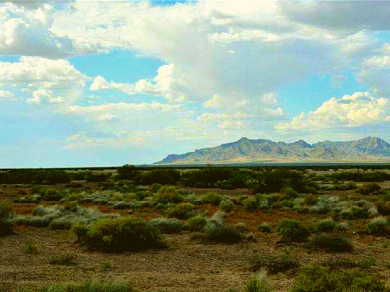 .5 AC with Magnificent Peak Views : Deming : Luna County : New Mexico
