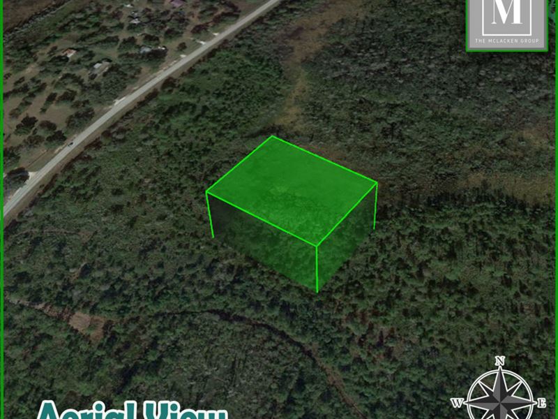 2-Acre Gem, Breathtaking : Polk City : Polk County : Florida