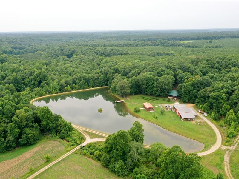 Horse Creek Ranch : Lutts : Wayne County : Tennessee
