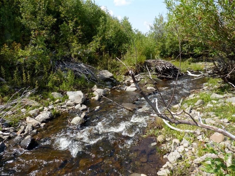 Creek Mile Ranch : Craig : Moffat County : Colorado