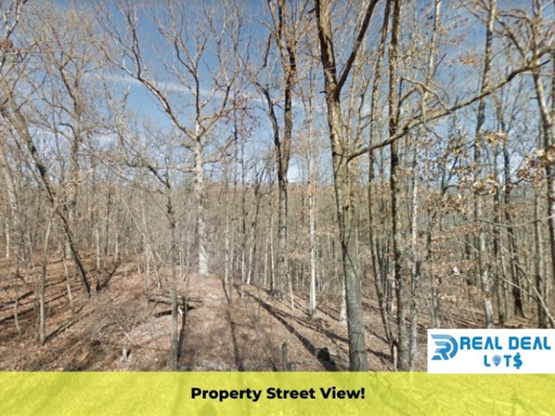 Gorgeous 0.32 Acres Lot : Bella Vista : Benton County : Arkansas