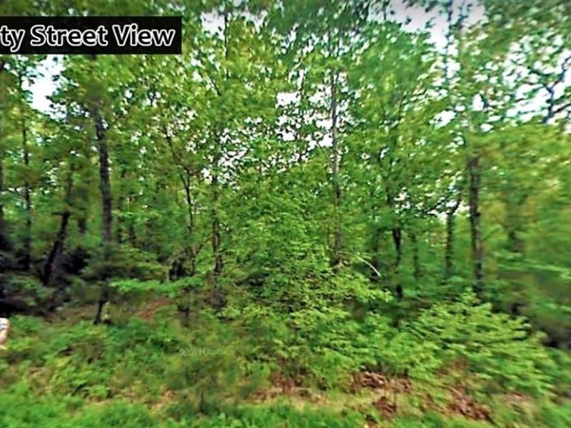 Trailer & Tiny Home Side By Side : Horseshoe Bend : Izard County : Arkansas