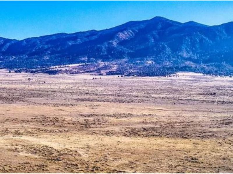 Zoned Residential & Mobile Home : Caliente : Kern County : California