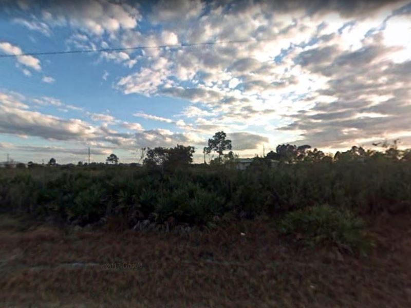 Your Beautiful Tropical Getaway : Lehigh Acres : Lee County : Florida