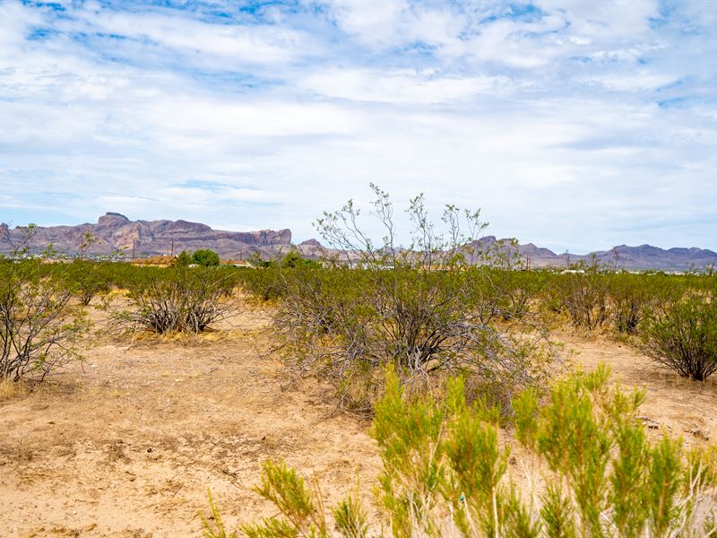 Two Adjacent Lots, 2.5 Acres Each : Kingman : Mohave County : Arizona