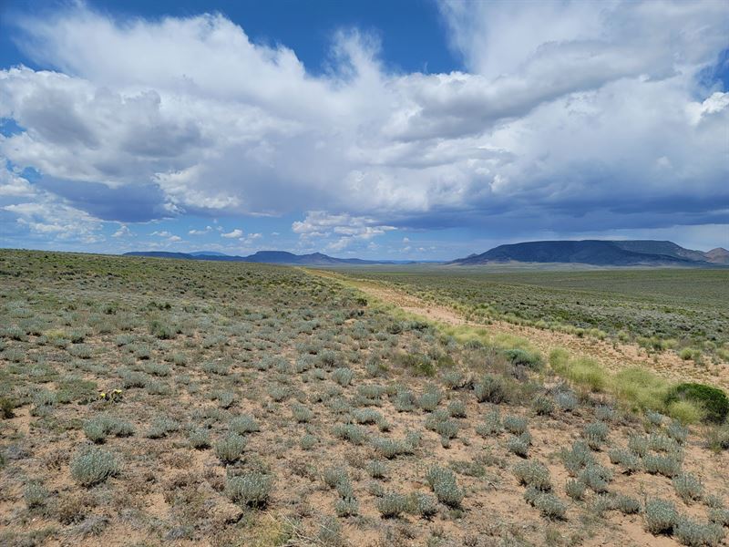 Harold, 5 Acres in Costilla County : San Luis : Costilla County : Colorado