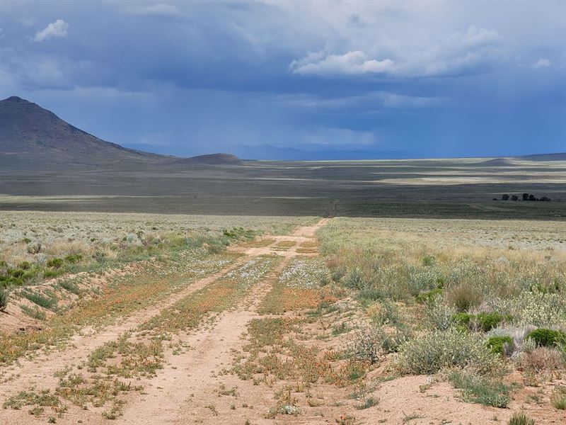 Cordoba 2, 5 Acres Costilla County : San Luis : Costilla County : Colorado