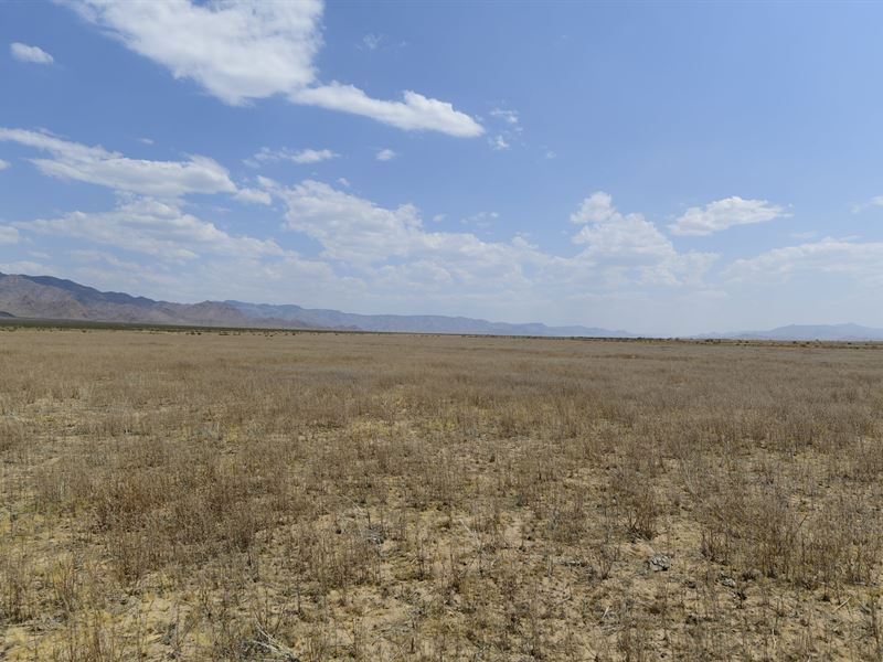 Antares, 2.5 Acres in Mohave County : Kingman : Mohave County : Arizona