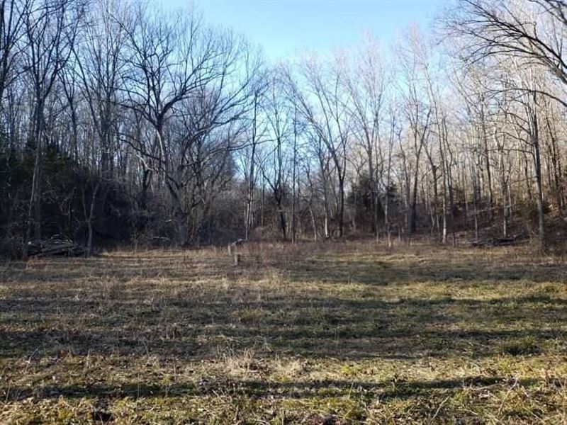Country, Privacy, Hunting, Power : Ava : Douglas County : Missouri
