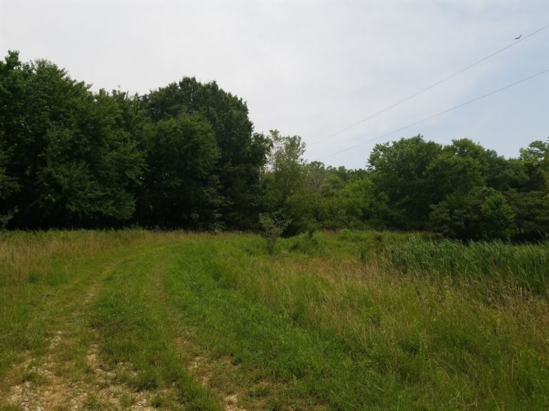 13.6 Acres in Henry County, MO : Windsor : Henry County : Missouri