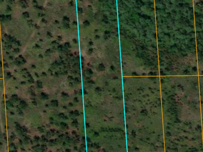 2.5 Acres University Highlands : Deland : Volusia County : Florida