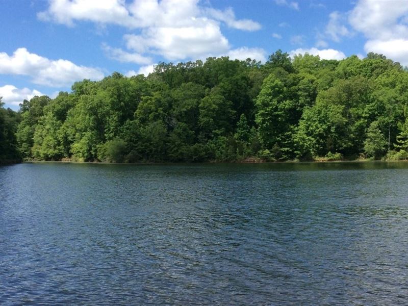 11.25 Acres-Corps Frontage On LA : Lowndesville : Abbeville County : South Carolina