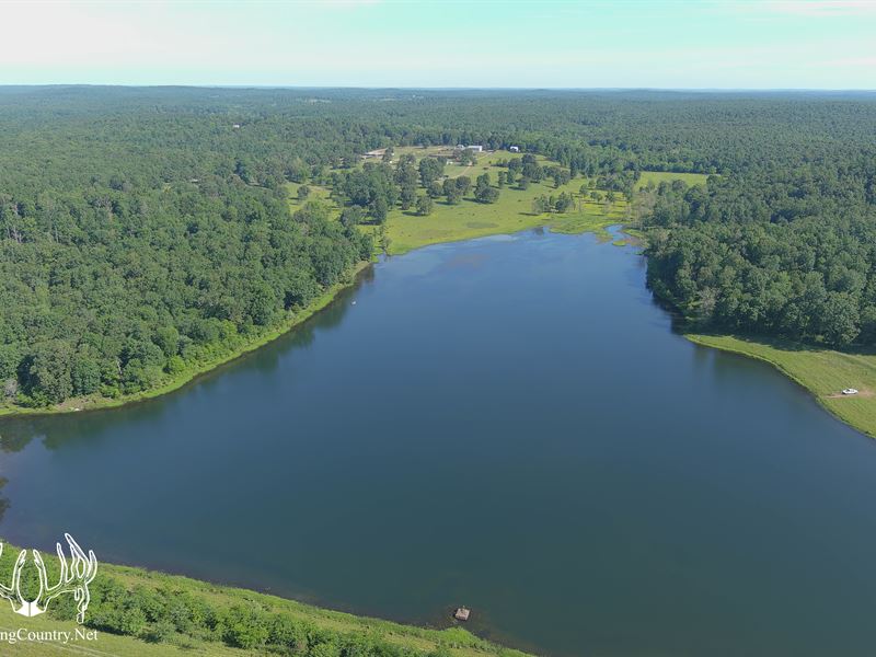 255 Acres M/L, Ripley County, MO : Doyle : Ripley County : Missouri