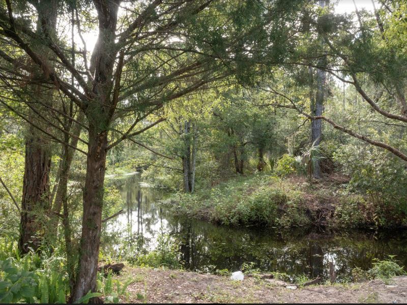 .26 Acre Surrounded By Lake : Deland : Volusia County : Florida