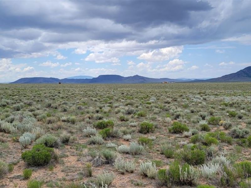 Jack, 5 Acres Costilla County : San Luis : Costilla County : Colorado