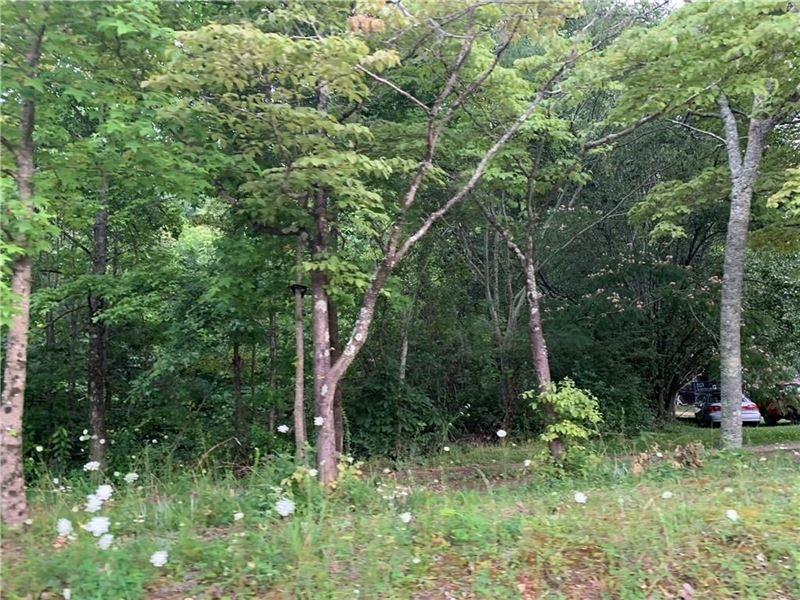 Highly Sought After Ball Ground, GA Land for Sale in Ball Ground