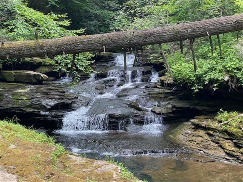 210+/-Acres with Waterfalls : Tracy City : Marion County : Tennessee