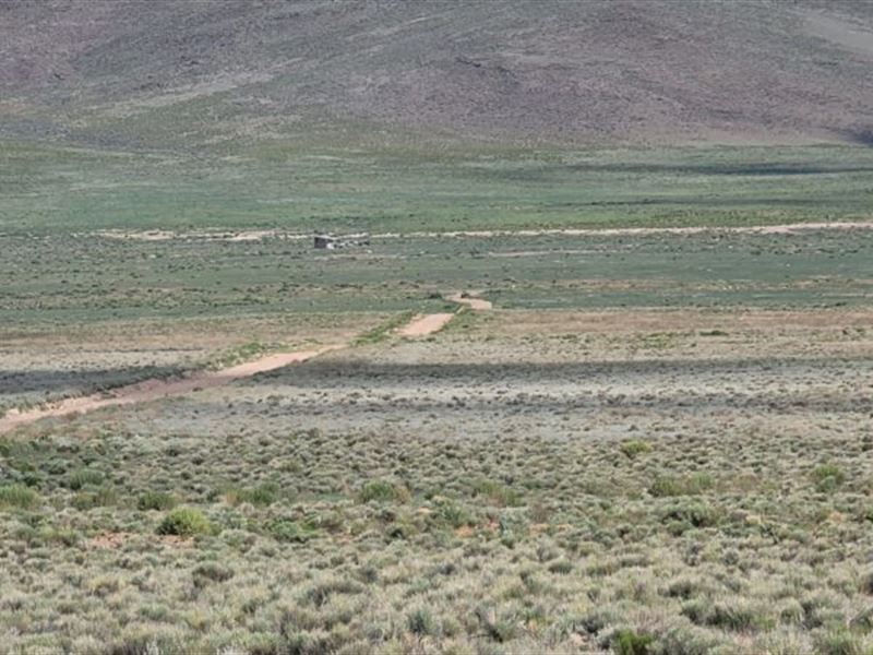Ana, 5 Acres Costilla County, CO : San Luis : Costilla County : Colorado